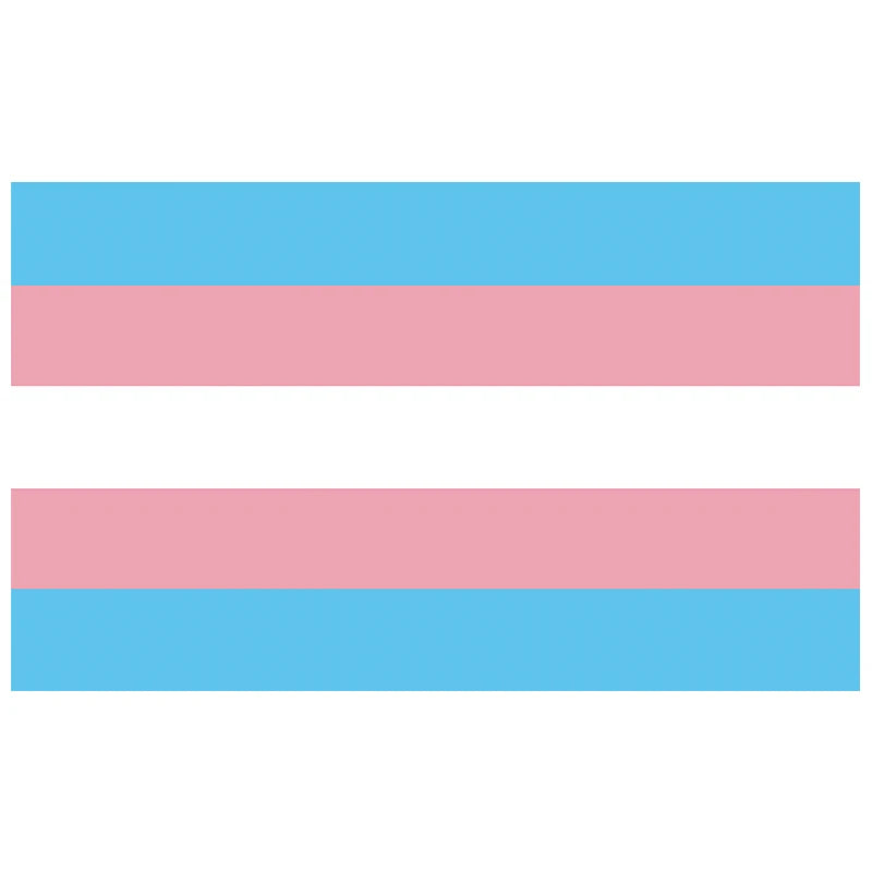 Pride Flagge – 150 x 90 cm