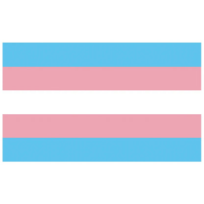 Pride Flagge – 150 x 90 cm
