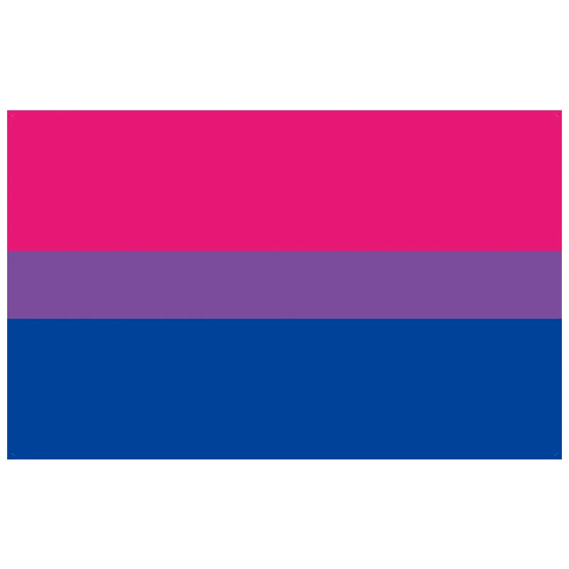 Pride Flagge – 150 x 90 cm