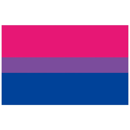 Pride Flagge – 150 x 90 cm