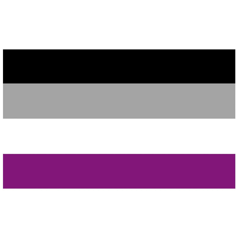 Pride Flagge – 150 x 90 cm
