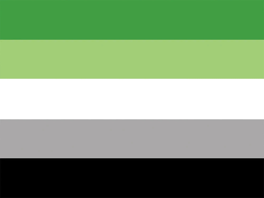 Pride Flagge – 150 x 90 cm