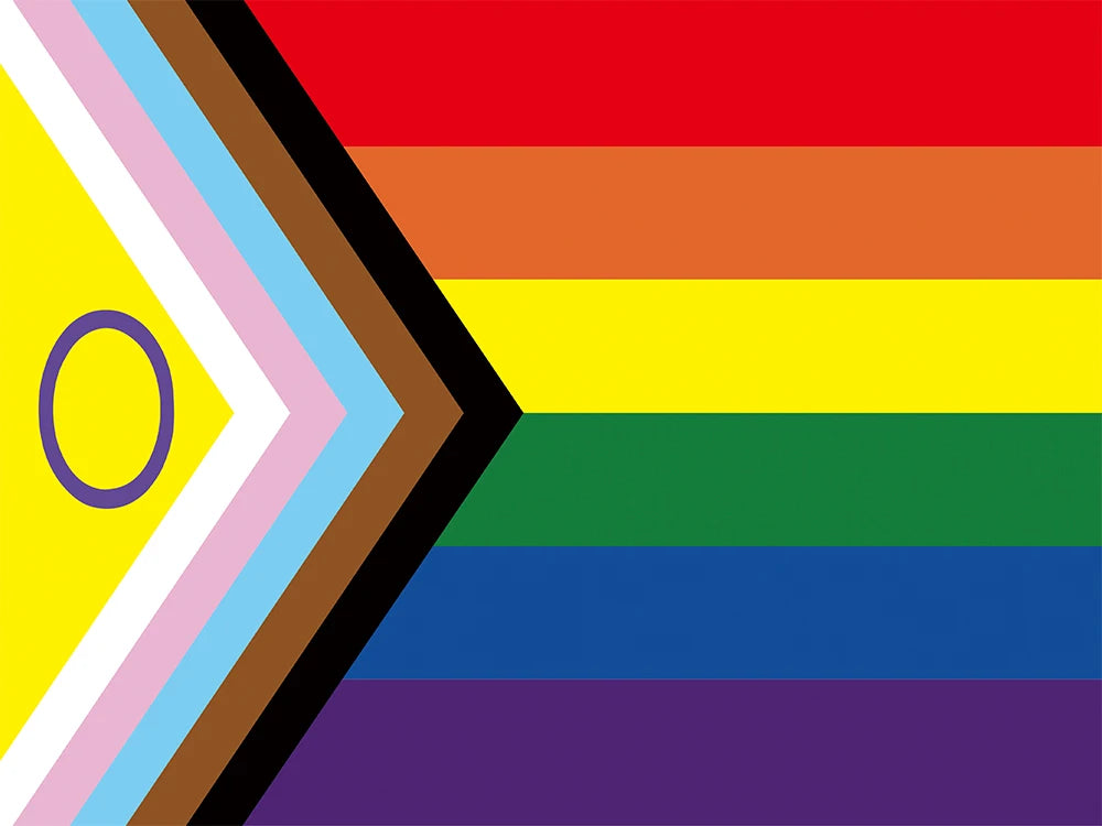 Pride Flagge – 150 x 90 cm